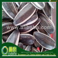 Supply Hulled Iran Market Sunflower Seeds